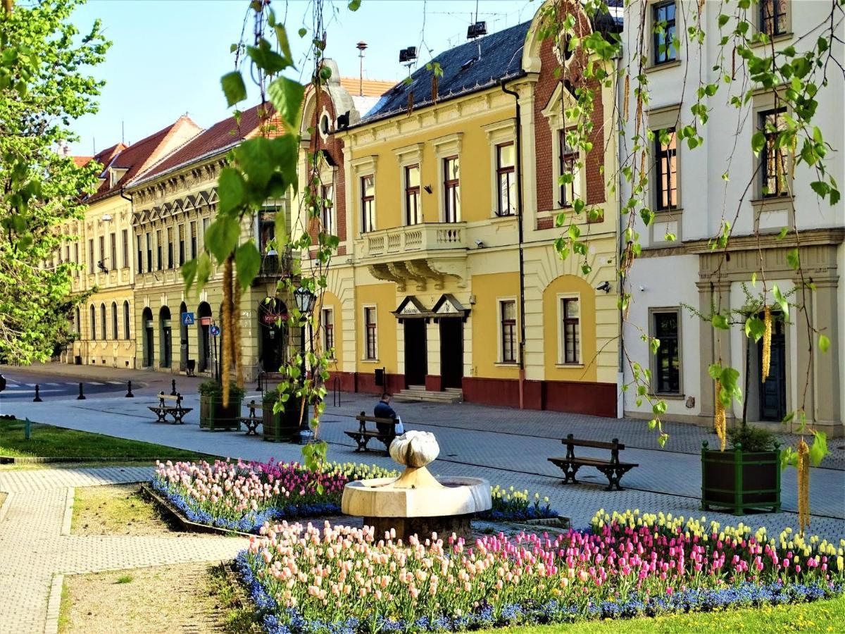 Fortuna Apartman Mini Eger Buitenkant foto